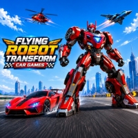 Flying Robot Transform