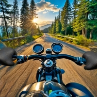 Motorcycle Racer: Road Mayhem Play